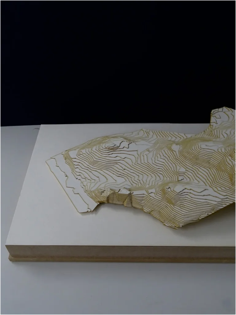 Topografisches Geländemodell aus Schichtlinien – abstrakte Darstellung von Höhenprofilen für Architekturprojekte